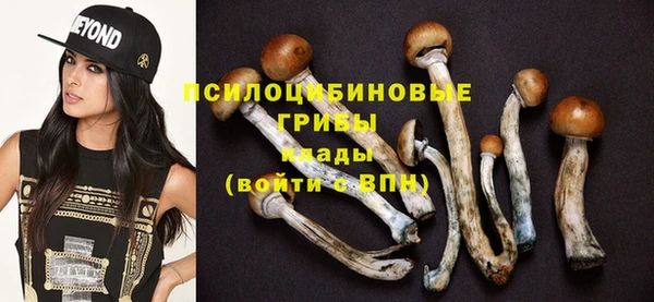 шишки Коряжма
