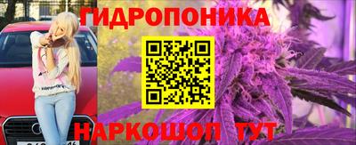 прущие крисы Донецк