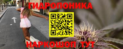 прущие крисы Донецк