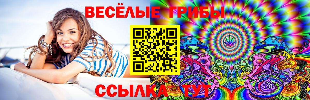 Псилоцибиновые грибы прущие грибы Урус-Мартан