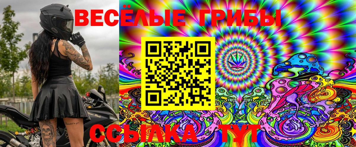 Псилоцибиновые грибы Magic Shrooms  Вход с VPN  хочу   Урус-Мартан 