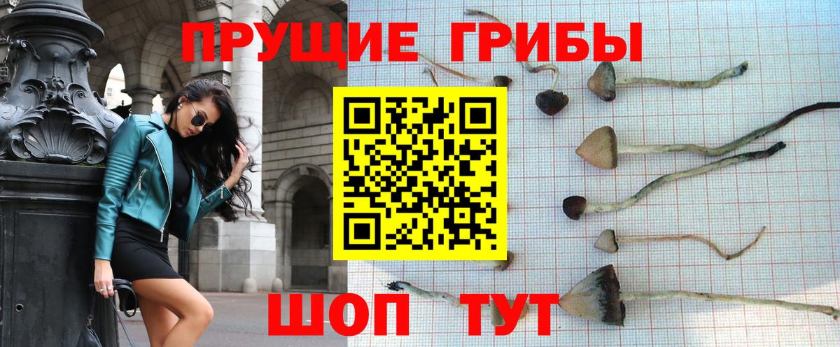 Галлюциногенные грибы MAGIC MUSHROOMS  Урус-Мартан 